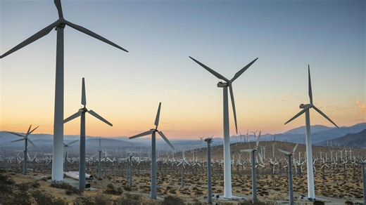 State-by-State Analysis of Renewable Energy Policies