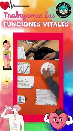Las Funciones Vitales a través de Lapbook #short