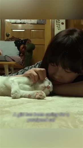 Zane Movie Recap: Key Moments Explained