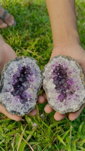 ✅ The guy show Survival Skills | Amethyst Geode Reveals Stunning Deep Purple Crystal