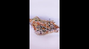 Rotting PIZZA Timelapse | Time Treats