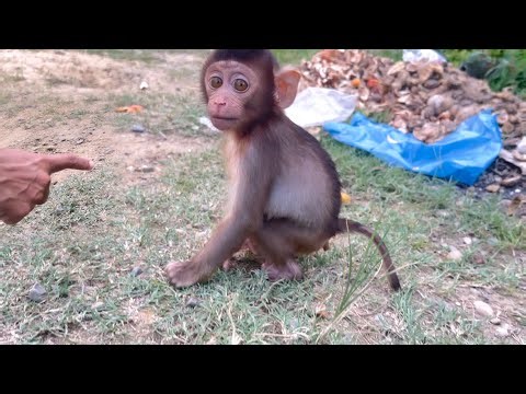 Oh no,baby LiLi caught by mom poop while playing..