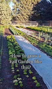 Farming Made Simple – A Beginner’s Guide