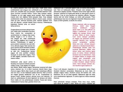 Adobe InDesign 04 - Assemblage
