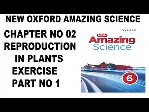 Grade 6 New Amazing Science Unit 2 Reproduction in Plants Exercise Solution Part 1 - Exercise