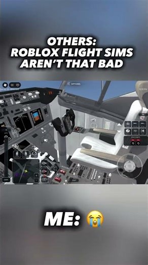 Roblox flight sims suck lol #peakaviation #airplane #aviation