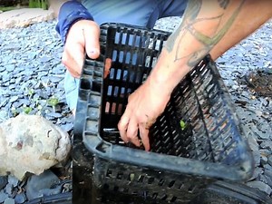 How To Install A Skimmer In A Pond The Best Way