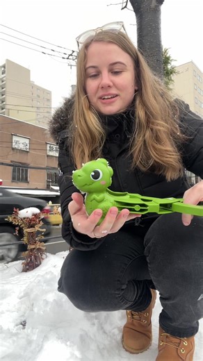 Exploring Sapporo: Snow Dinosaurs and Travel Tips