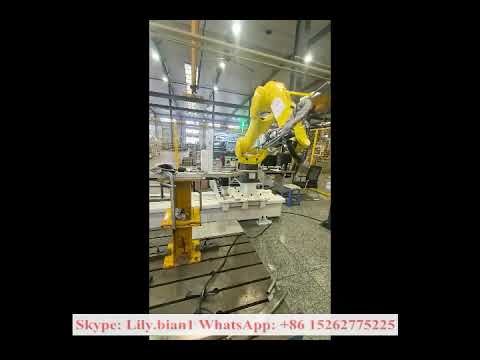 3D Laser Cutting Machine with Robotic Arm