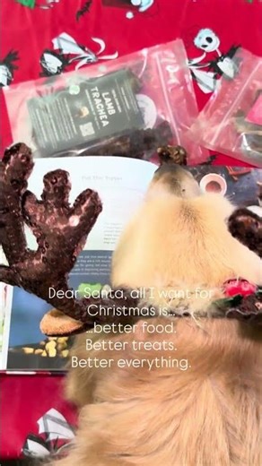 Dear Santa… all we want is healthier, happier pups.
