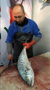 How to Fillet, Skin and Debone Queenfish Perfectly