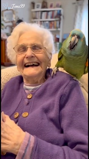 Granny vs Parrot 🦜 😂Fun Part~ 4 #talkingparrot #parrot #parrotlover #granny #grannyvsparrot | Jems99
