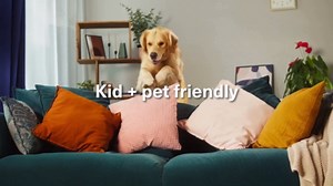 Pestie Home Barrier Pest Control Kit, Expert Pest Control for Your Home, Fast-Acting, Long-Lasting Insect Killer, Professional Spray Protects Against Common Pests