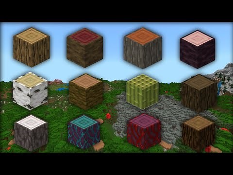 This Seed Has All 12 Wood Types Near Spawn