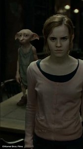 Hermione’s Secret Organization the Movies Cut Out #harrypotter #harrypotterfacts #hermionegranger