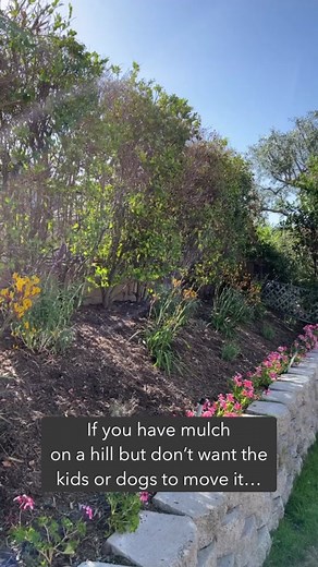 Genius Landscaping Tip: Mulch Stabilizer for Kids and Pets