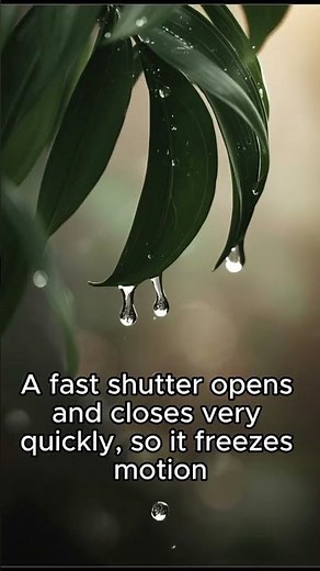 The Shutter Speed Trick You Need to Know for Perfect Photos #photographyhacks
