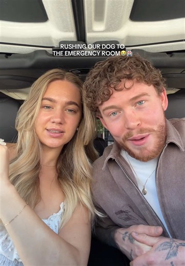 Awareness About Water Parasite Affecting Dogs