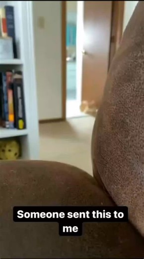 🔺️Ҝłϻบ૨ค🔻 on Instagram: "No problem! Here’s the information about the Pound-Rebka Experiment and Gravitational Redshift 🌌📡 🔹 What Was the Pound-Rebka Experiment? • Conducted in 1959 by Robert Pound and Glen Rebka, this experiment provided direct evidence of gravitational redshift, a prediction of Einstein’s general relativity. 🌍📊 🔹 Key Setup • A gamma-ray source was placed at the top of a 22.5-meter tower at Harvard University, whil