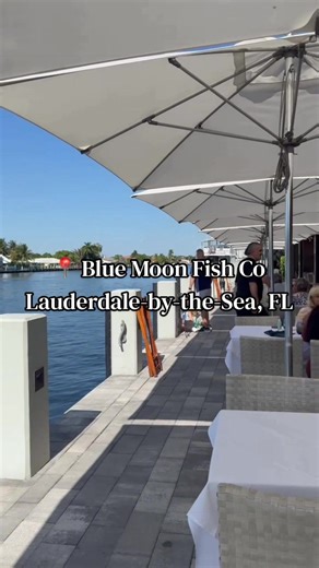 This is your sign to romanticize brunch in fort lauderdale 🥂✨ waterfront views, an elevated buffet with endless small bites, and bottomless mimosas… say less continuing our fort lauderdale recs and this one is a must-save save this for your next trip & send it to your brunch date 👀 #brunch #fortlauderdale