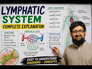 Lymphatic System in One Shot | Complete Lecture for MDCAT 2026