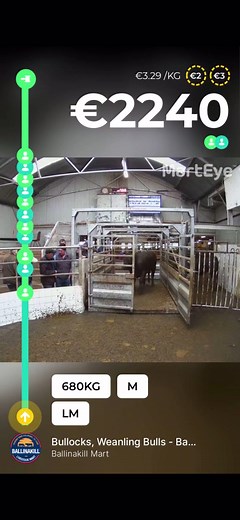 🐮Highlights from Saturday the 4th of May🐮 •680Kg- €2,240 #BallinakillMart #mart #Sucklers #Cows #bulls #bullocks #Ballinakill #Marteye #marteyeclips #