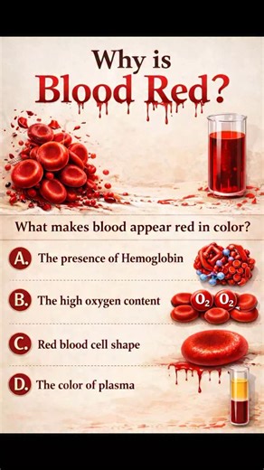 Medical Laboratory Scientist - MLS on Instagram: "🤔"