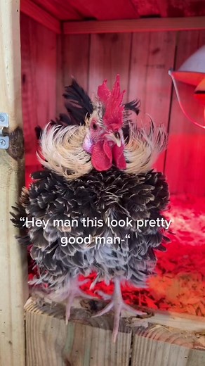 Man Looking Good Without Clothes