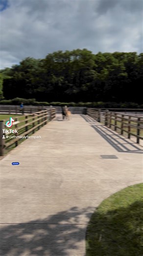 #cefnmablyfarm #cefnmably #cefnmablyfarmpark #softplay #softplaycardiff #farmattraction #attractioncardiff #daysoutwithkids #daysoutwithtoddlers | Cefn Mably Farm Park