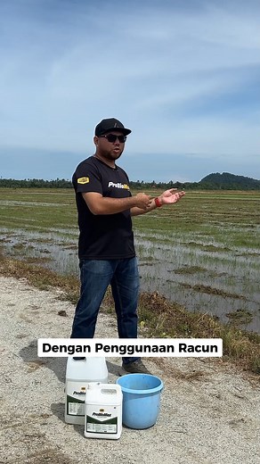 CARA GUNA BAJA PROBIOMAX DENGAN BETUL UNTUK SAWAH PADI Untuk order tekan sini : https://probiomaxofficial.com/ | Baja Probiomax