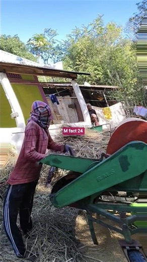 Amazon rice cutter#shorts #fact