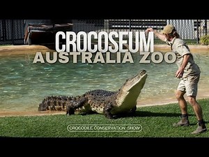 Crocodile Conservation Show at Australia Zoo