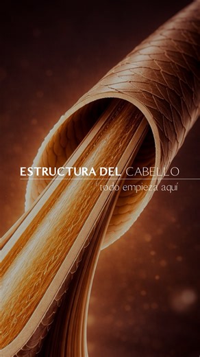 Como profesionales, no basta con ejecutar procesos. Comprender la Estructura del Cabello es lo que nos permite trabajar con criterio, respeto y verdadera Conciencia Profesional. 👌🏻 👉🏻 CUTÍCULA: ▪️Es la capa externa del cabello, formada por escamas de queratina que protegen la fibra capilar. Regula la porosidad, el brillo y la retención de hidratación. Se daña principalmente por calor excesivo, fricción, lavados agresivos y procesos químicos mal controlados, provocando resequedad, falta de su