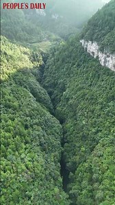 Stretching 37 km in Chongqing, the forest-clad Tianjingxia Fissure is a breathtaking natural wonder