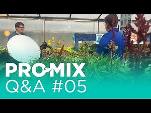 What is the difference between PRO-MIX BX and HP?