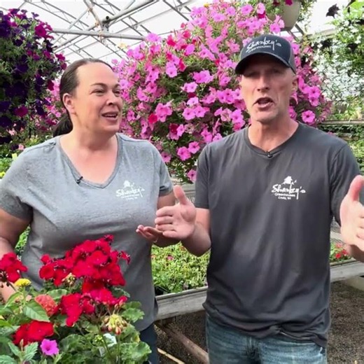 Is Deadheading a Chore or Therapeutic for You?