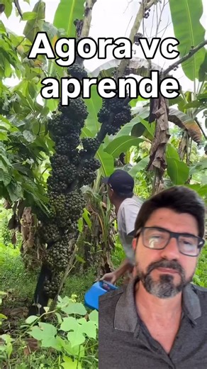 Edilberto Barreto | VAMOS APRENDER! Quer fazer vídeos incríveis só com o seu celular? Assista a esse tutorial e aprenda como usar a criatividade para... | Instagram
