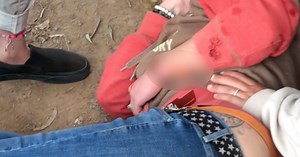 FD: Jaguar attacks woman taking selfie at Wildlife World Zoo in Litchfield Park