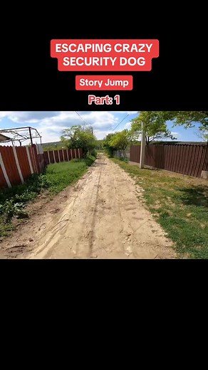 ESCAPING CRAZY SECURITY DOG #dumitrucomanac #dog #security #securitydog | Debbie Rollinger