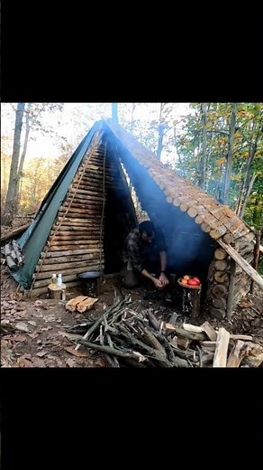 Bushcraft Camp | Tarp & Wood Shelter Build + Cooking with My Dog