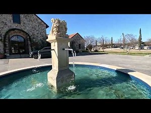 Винодельня The Vineyard в городке Florence, Texas 🍷 #usa #техас #жизньвсша