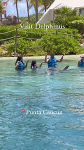 If you are on vacation in the Riviera Maya or Cancun, you can’t miss the opportunity to swim with dolphins in any of our 7 habitats. Each one has a unique essence. Choose your favorite and fulfill your dream!🐬 #Delphinus #Dolphin #SeaLife #Vacation #Summer #Family #Children #Happiness #Cancun #RivieraMaya #ForABrilliantBluePlanet | Delphinus