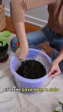 Erros que destroem sua horta em 1 dia | Guia Rápido