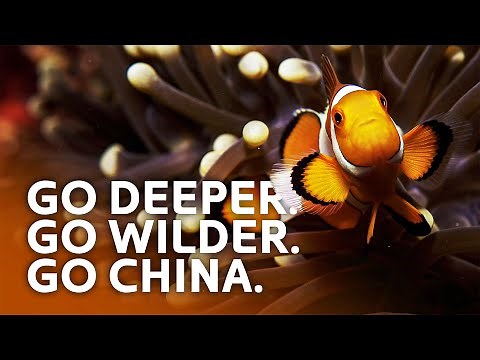 CHINA: Unlocking The Secrets Of An Underwater Kingdom