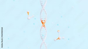 Rotating DNA Molecule Animation,3D rendering
