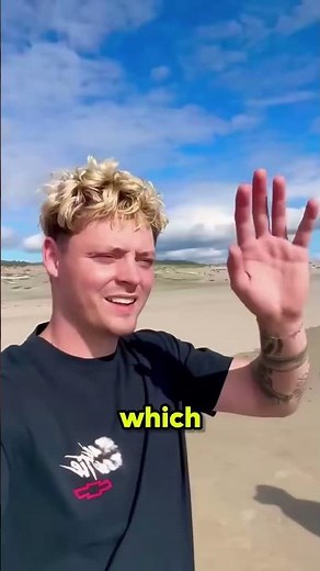 Why This Beached Whale Feels Overpowered?