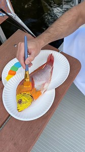 Paint your fish before eating it! 😍🐠 This is a cool hack to make your towels or clothing extra special with a fish stencil, and then you can wash it off and cook it! | Janelle & Kate