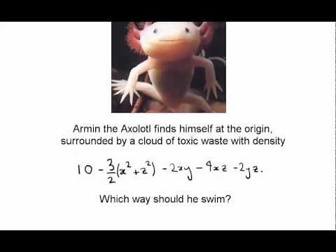 Hessian matrix: an example