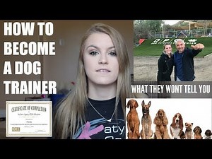 HOW TO BECOME A DOG TRAINER (+ what they don't tell you)