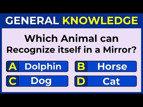 How Smart Are You? | Take This 25-Question Quiz To Find Out | GK